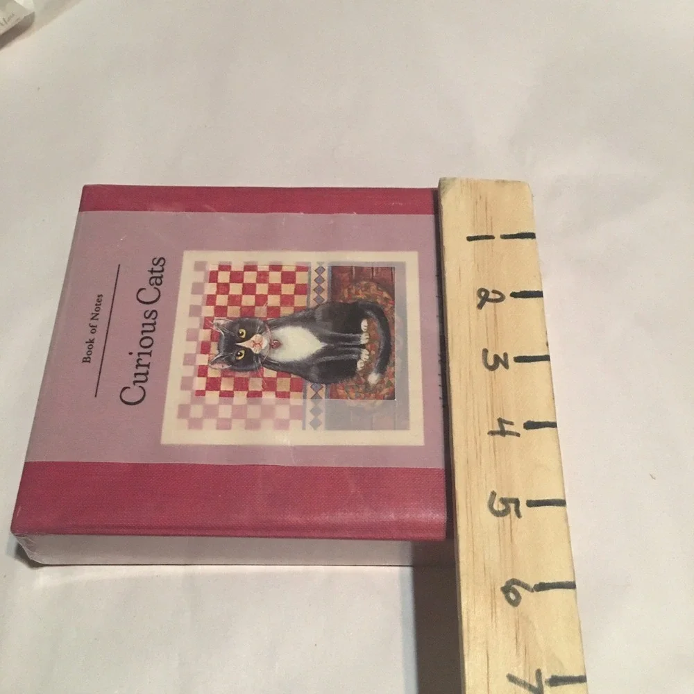 Curious Cats Stationary 24 Note Cards With Envelopes